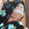 おさかなのみい