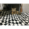 ニュートシ