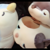 🌈🐱ゆうあ🦦🐧