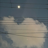 ひな