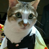 ジンちゃん