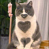 にゃんパラリ
