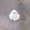冬ちろる