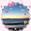 ⋆͛🦖⋆͛海坊主🌸🍀🌚🌻🍎