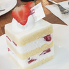 ☆ふるーちぇ☆