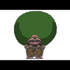 マリモ