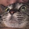 たくま