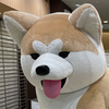 🧸🔥うすい⚔️🥋