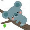 🍭💚ふうてん🐨🥁