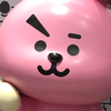 cooky