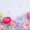 *⋆꒰ঌ🌷花菜🌷໒꒱⋆*