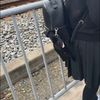 箱の中のちぴ