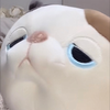 ﾄﾐ-