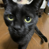 ひろ