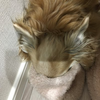 にょろにょろ隊🐯🌈