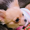 じゅりママ