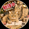 金魚花火【】