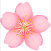 🌸🌸さくら🌸🌸