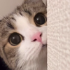 こ🌹そ🍼～🖤す🤭🫣