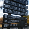 味噌と禿とあなたと私と