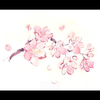 さくら🌸👼