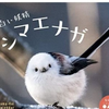 えがちゃん
