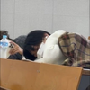 けいと🐈🗣️