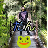 🐸だん🌠