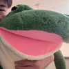 🐸だん🌠