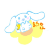 まちゃ🌼