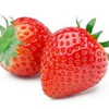 チョコたん🍓🍓【マリエ応援団🍓🐣】