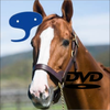 deepskyperfecdvc