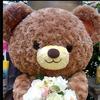 ルキウス🧸🧸🧸#X固定ポスト👀
