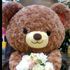 ルキウス🧸🧸🧸#X固定ポスト