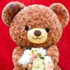 ルキウス🧸🧸🧸#X固定ポスト👀