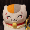 わさ太郎🐱💕