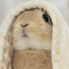 さく