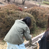 ひらた