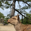 サト