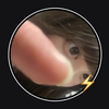 りおな