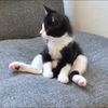 ねこ🍻×🍻