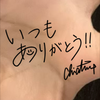 CKT白熊#