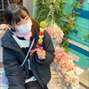 かれん🫧