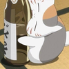 にゃんこしぇんしぇい🍶
