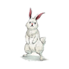 ぼーぱる🐇