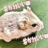 まりあ🌈💛🌷🐾🌻🐝⋆︎*ﾟ∗🌸💙ྀི🦢🗻
