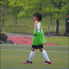 🐙か   ほ🏉
