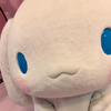 にゃんこ(男)