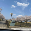 トマト🌹🥳♨️