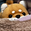 るるちゃ🧸🍳#低浮上